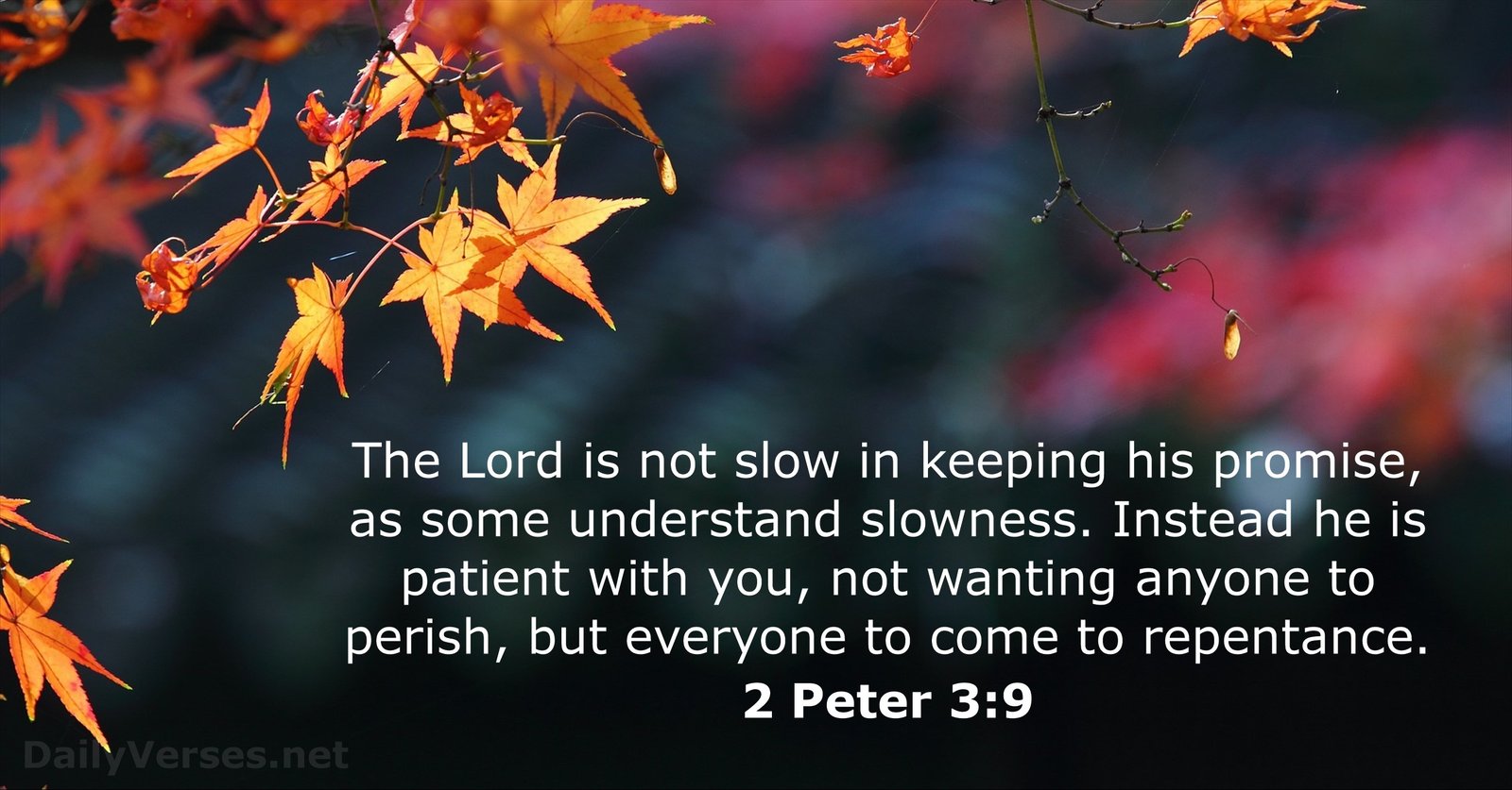 2 Peter 3 9 Prayers And Petitions 2-peter-3-9-prayers-and-petitions
