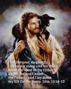 john 10 14-15 explained