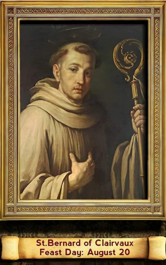 Saint bernard the 2024 saint