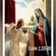 Gospel Reading for 8 April 2024